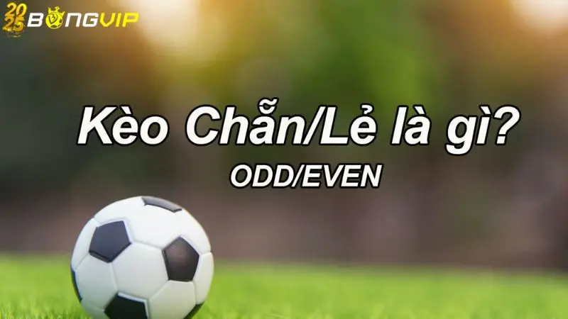 Hướng dẫn đặt cược kèo chẵn lẻ cho cược thủ