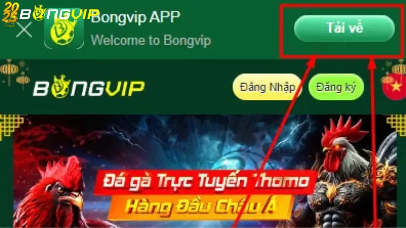 Hướng dẫn tải app Bongvip cho Android hiệu quả